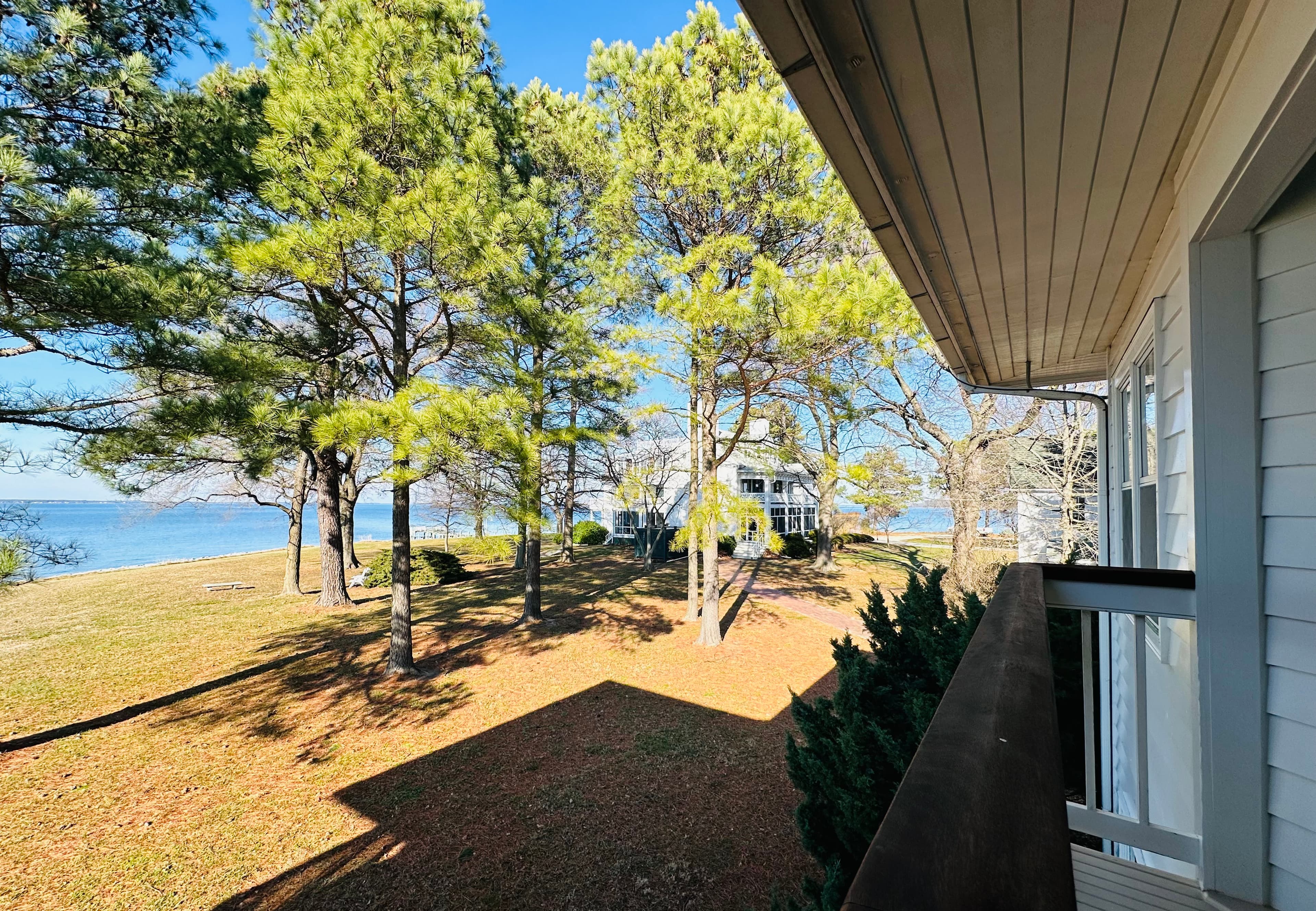 A view of a lakeside landscape with tall trees and a house in the distance.