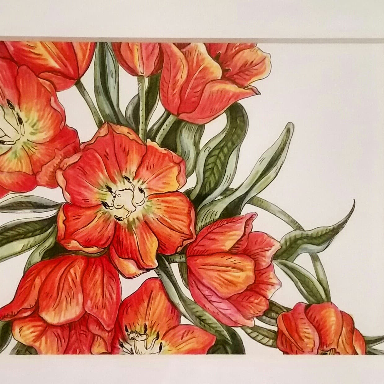A vibrant illustration of orange and red tulips with green leaves.