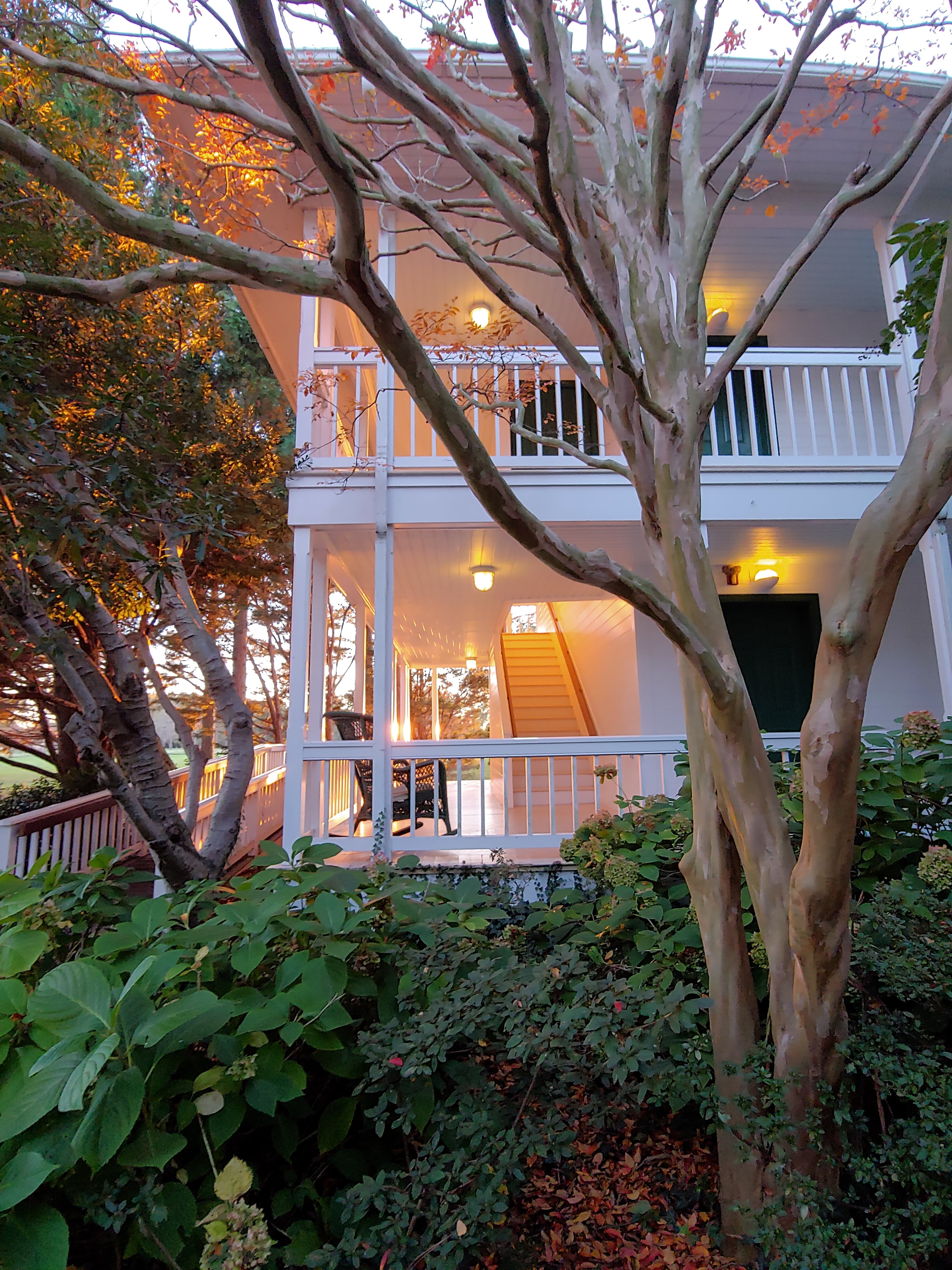 A multi-story building partially obscured by foliage and a tree, with warm lighting illuminating the stairway.