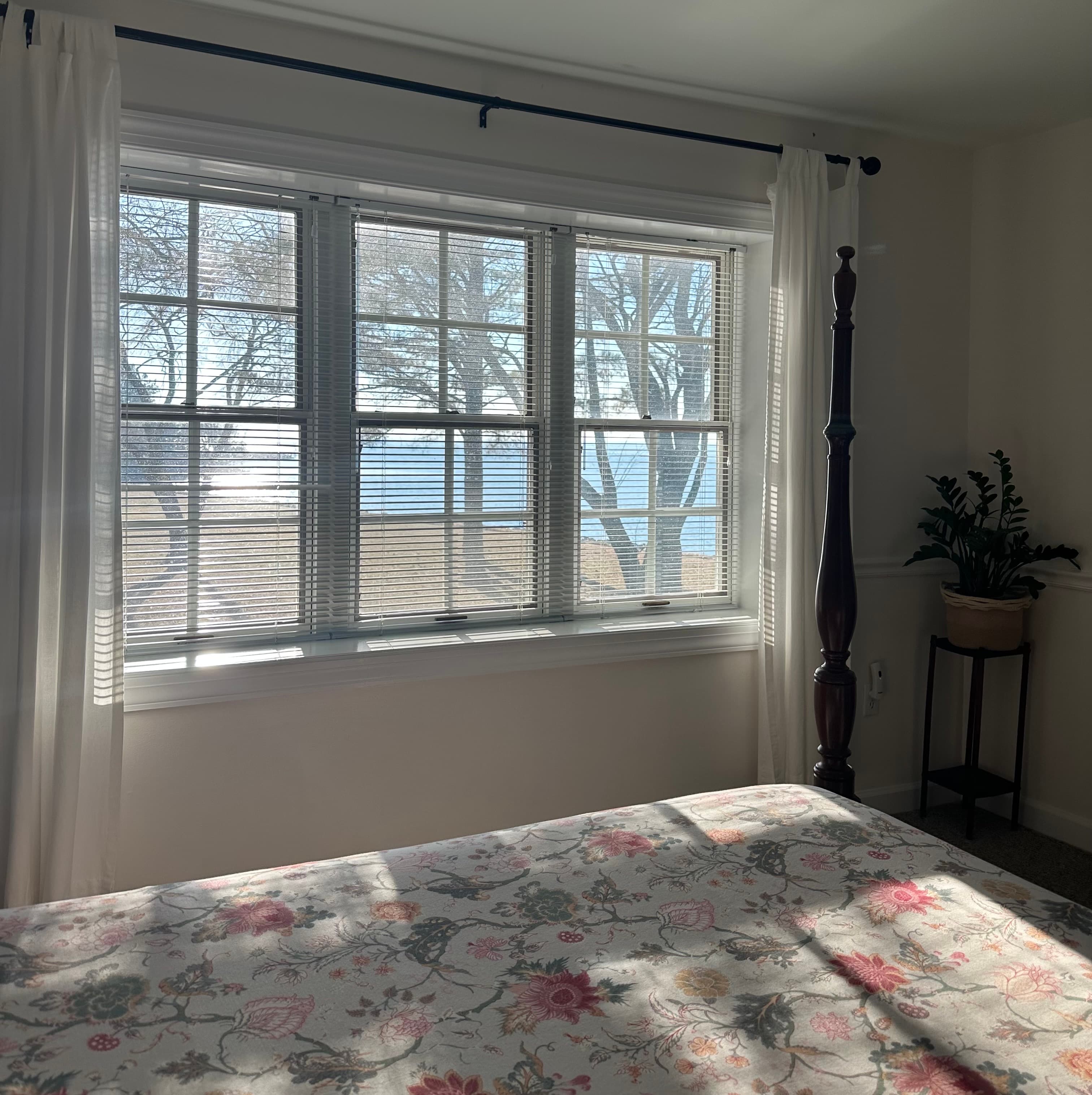 A sunlit room featuring a large window with blinds, overlooking a serene landscape and adorned with a potted plant.