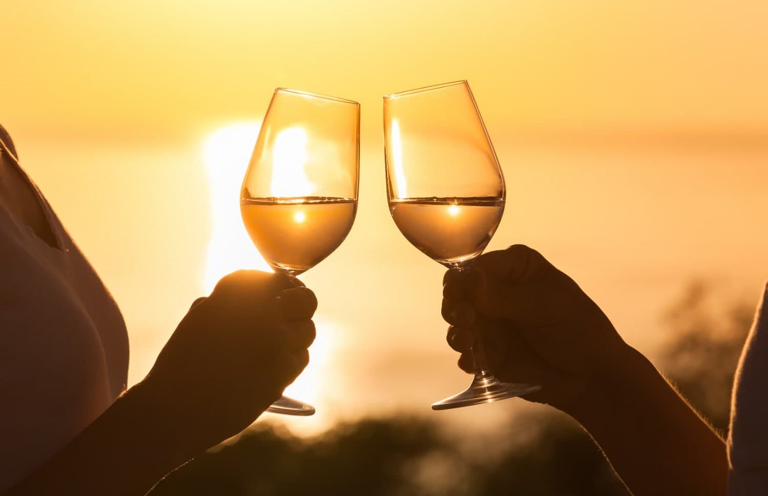 Two hands clink wine glasses against a sunset backdrop. Two hands clink wine glasses against a sunset backdrop.