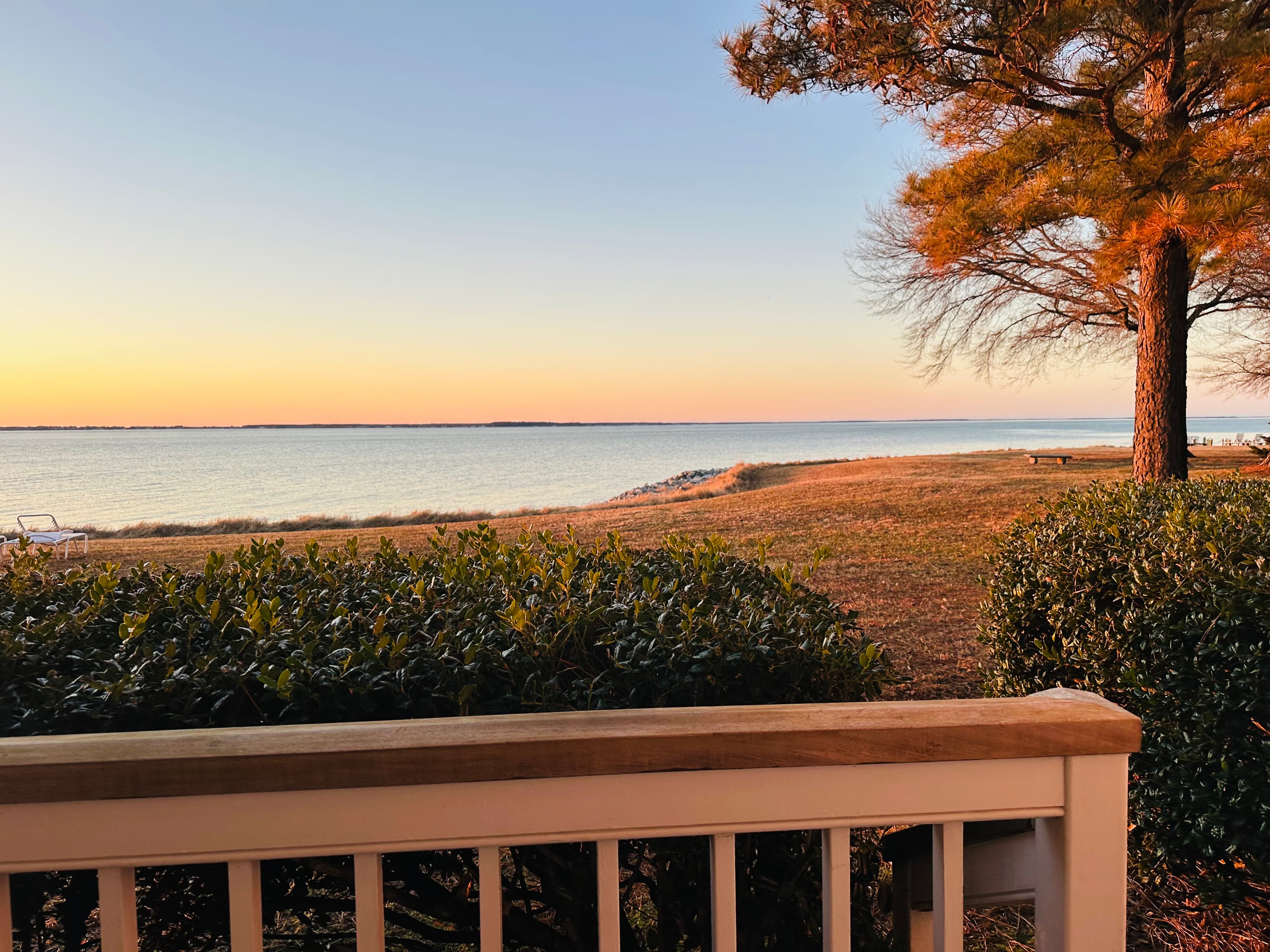 A serene waterfront view at sunset, framed by bushes and a tree.