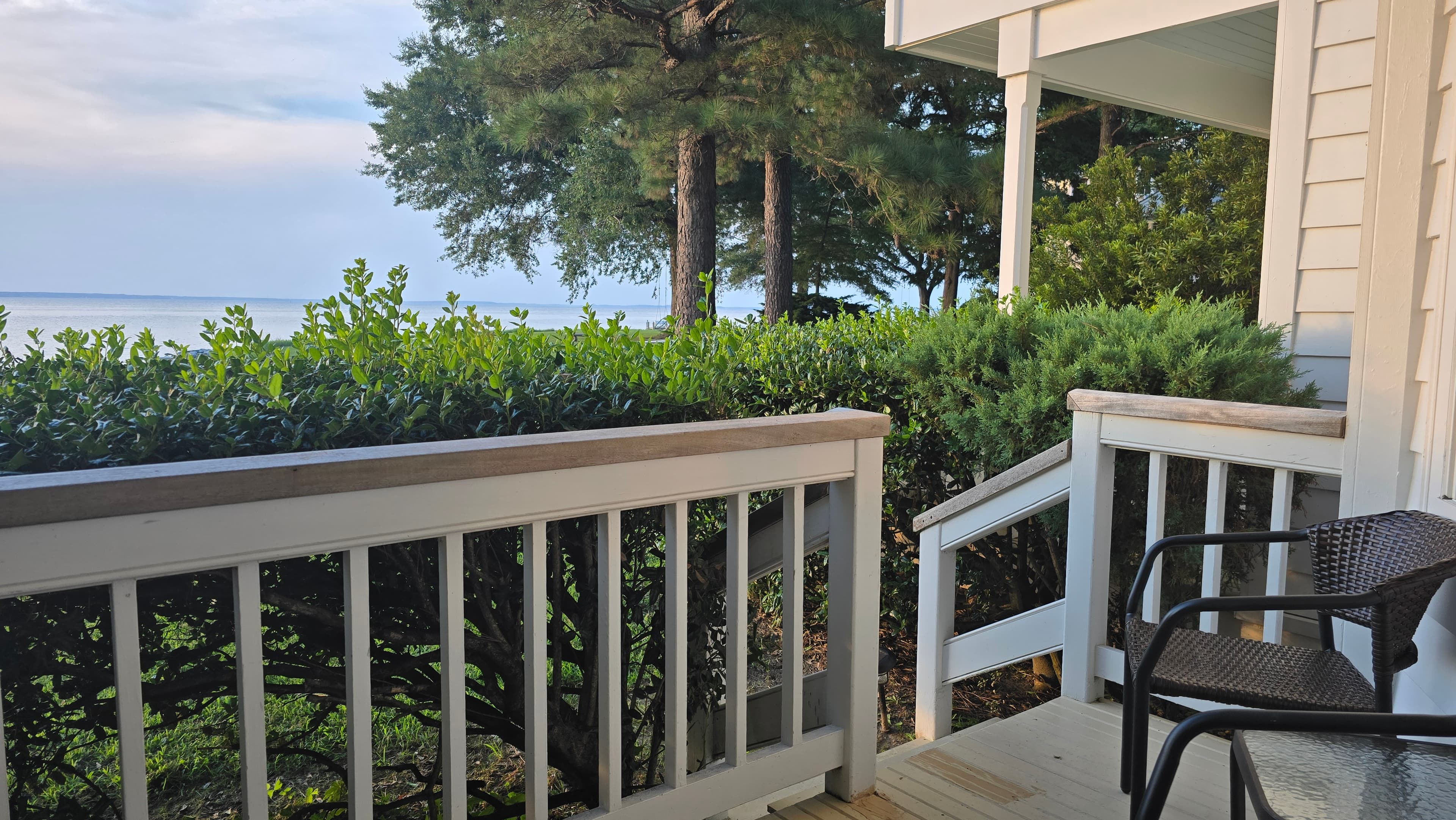 A serene view from a porch with a railing, overlooking greenery and water.
