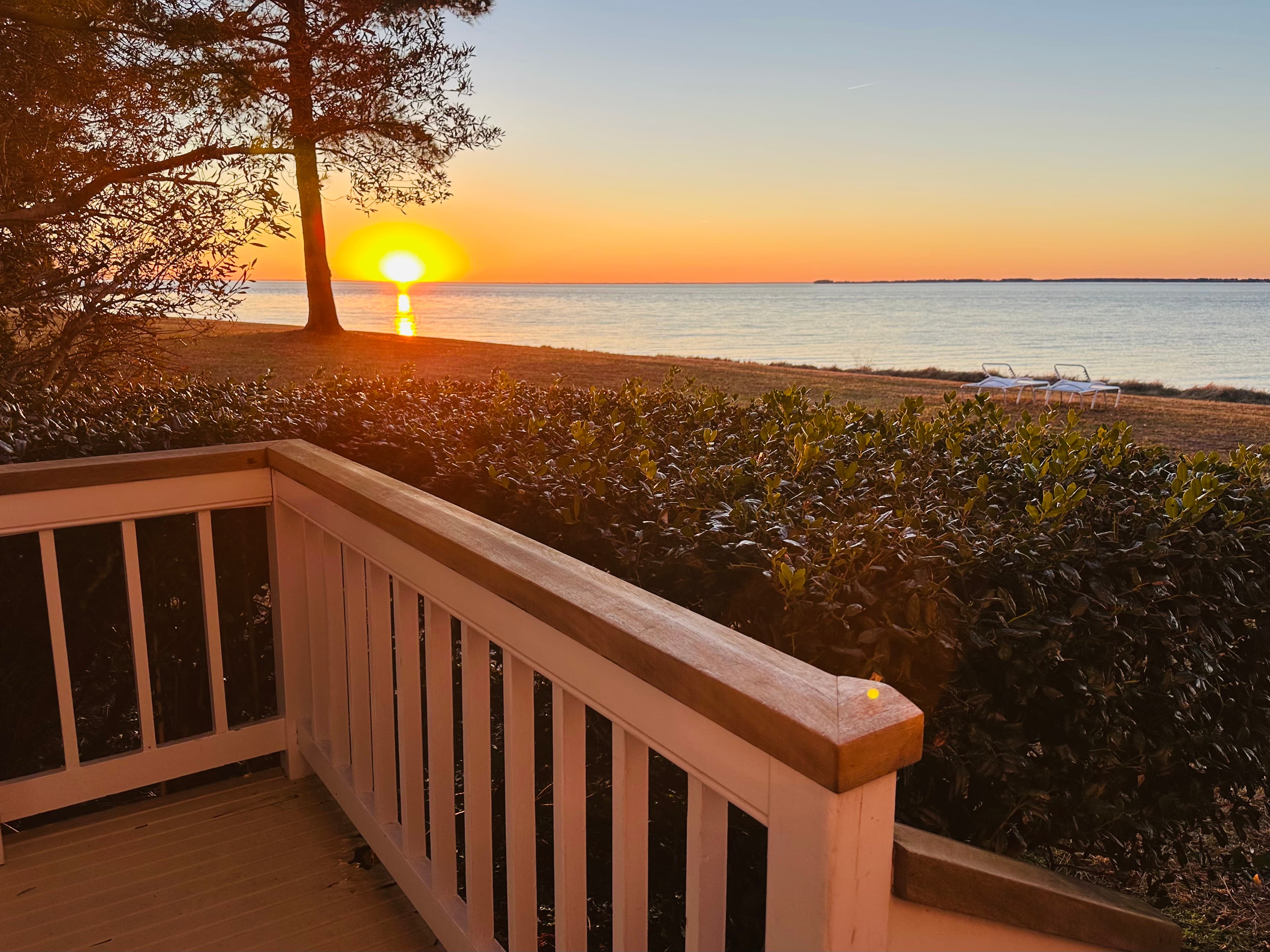 Sunset over a tranquil bay, viewed from a wooden deck with lush greenery in the foreground.