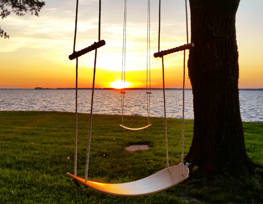 Two swings hang from a tree, framed by a stunning sunset over a lake.