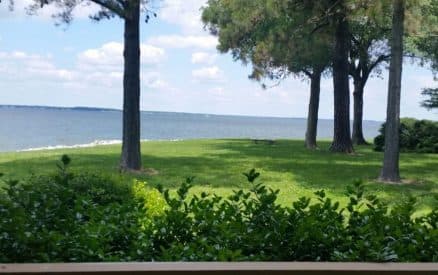 A view of a grassy shoreline with trees, overlooking a calm body of water under a partly cloudy sky.