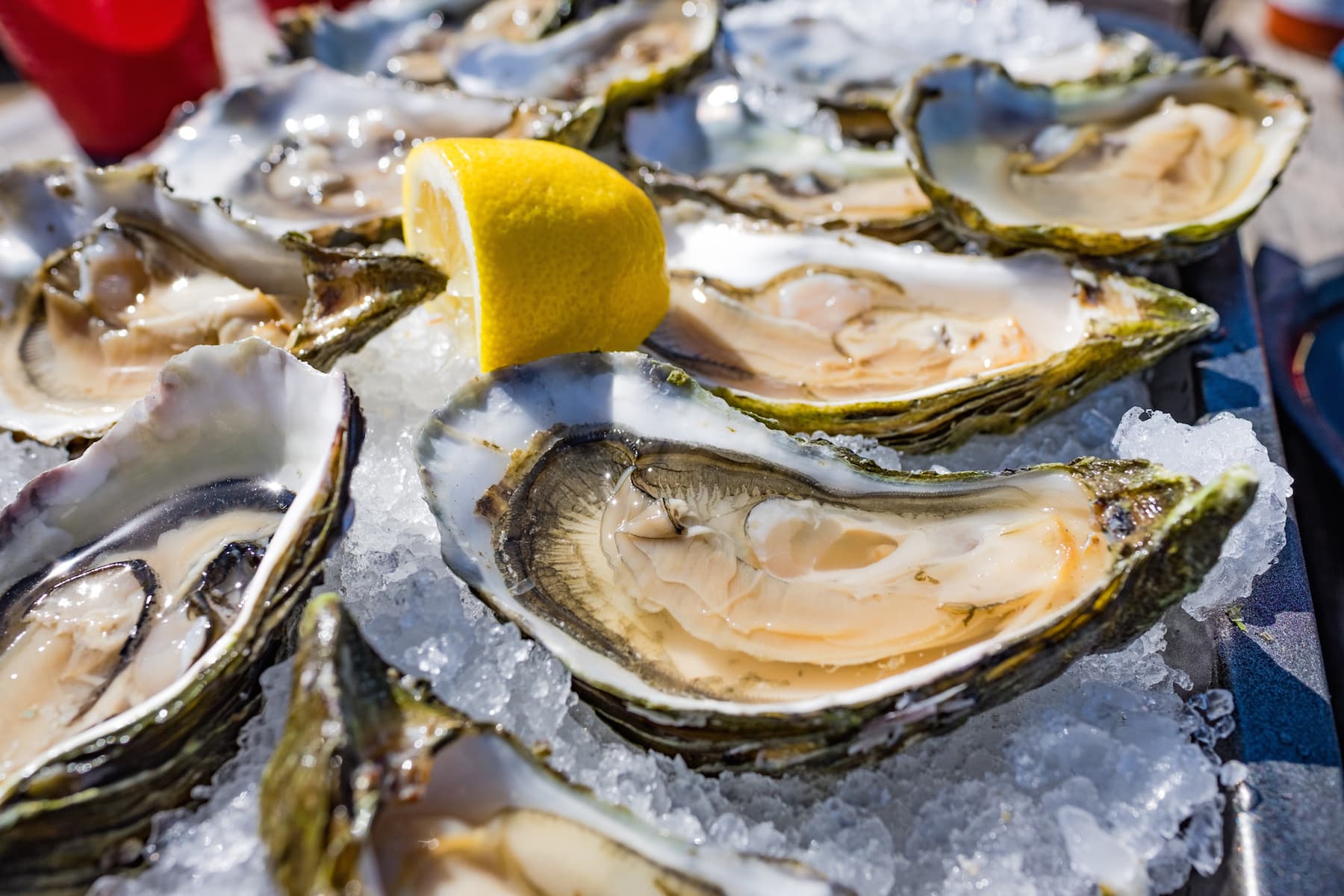 A close-up of fresh oysters on ice, garnished with a lemon wedge. A close-up of fresh oysters on ice, garnished with a lemon wedge.