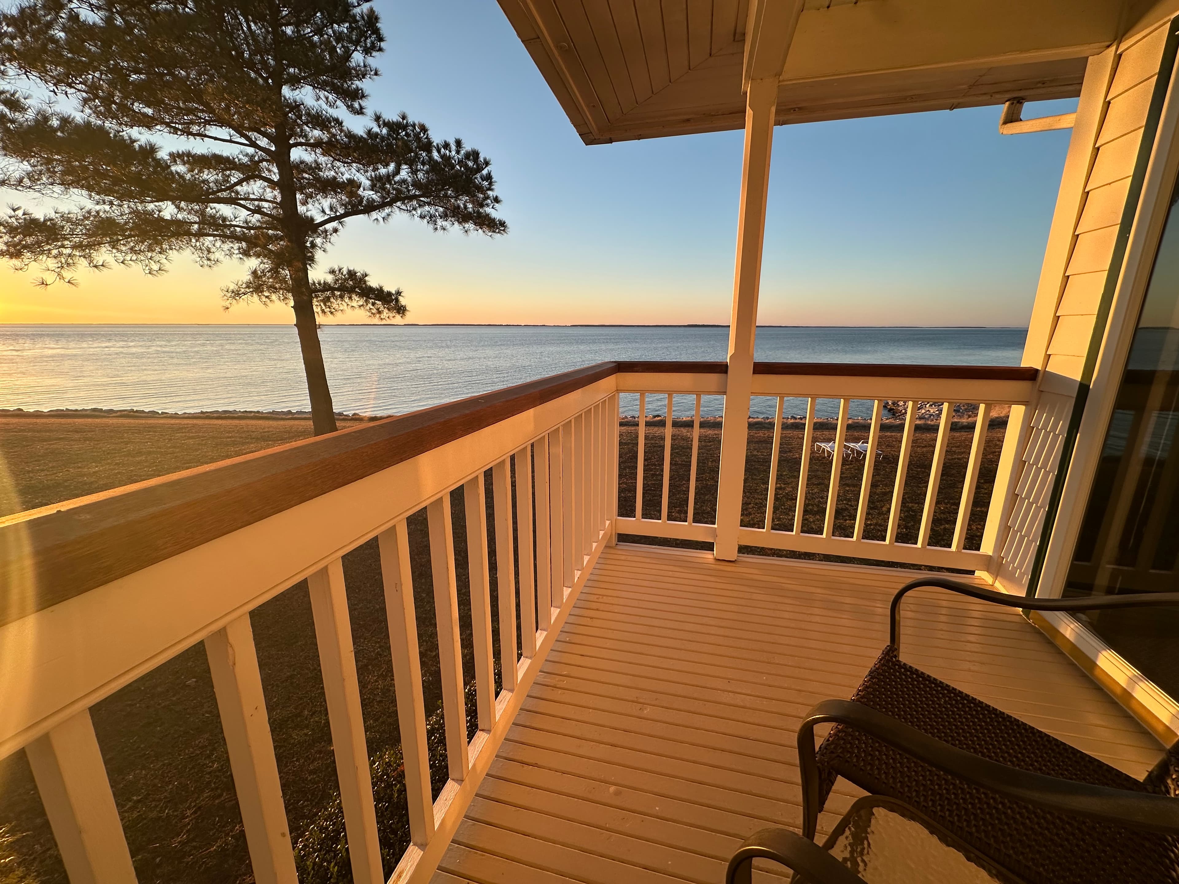 A view from a balcony overlooking a calm lake at sunset, framed by a tree.