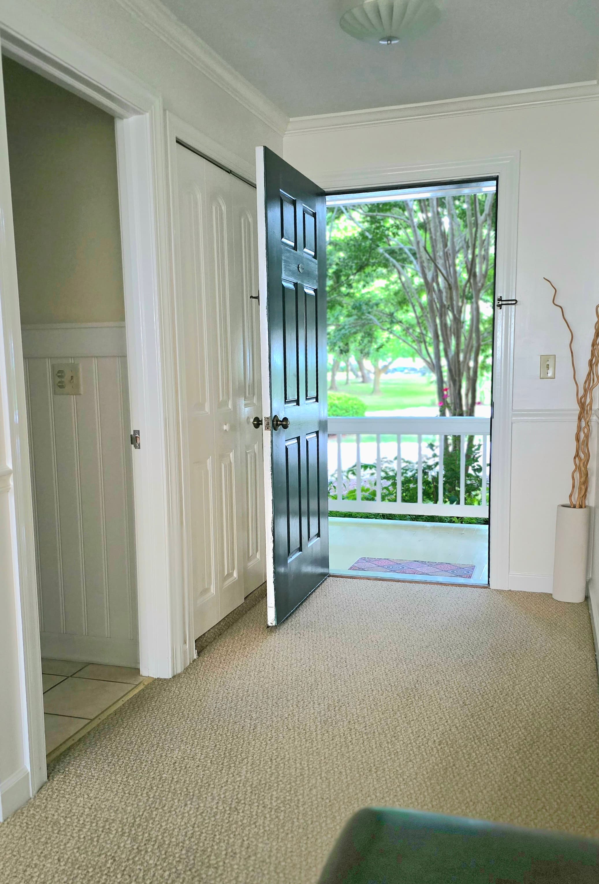 An open black door reveals a welcoming view of a bright exterior with greenery.