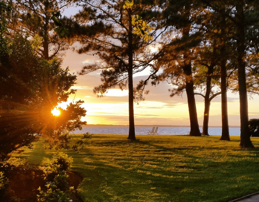 A sunset over a calm lake is framed by tall trees and green grass.