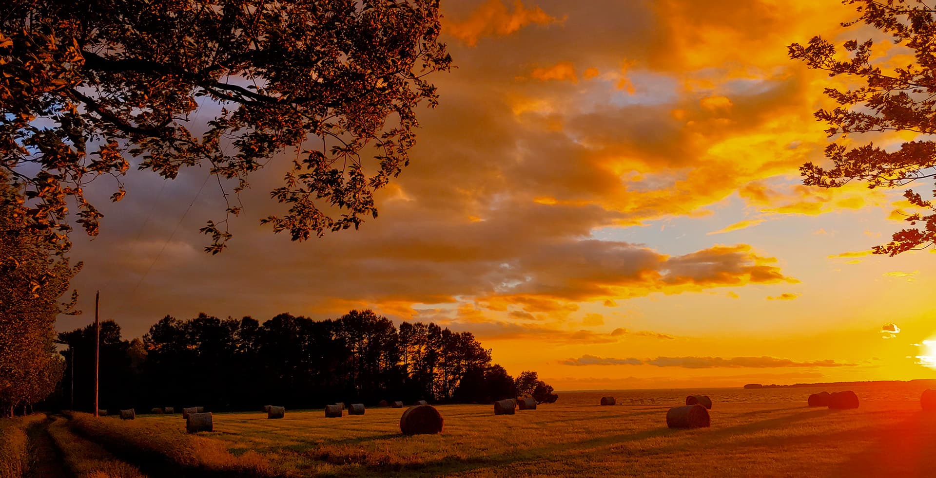 A vibrant sunset casts warm hues over a field with round hay bales and silhouetted trees.